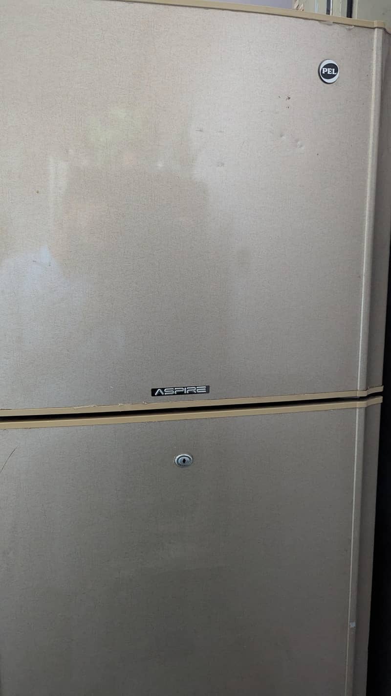 Pel Medium refrigerator 1