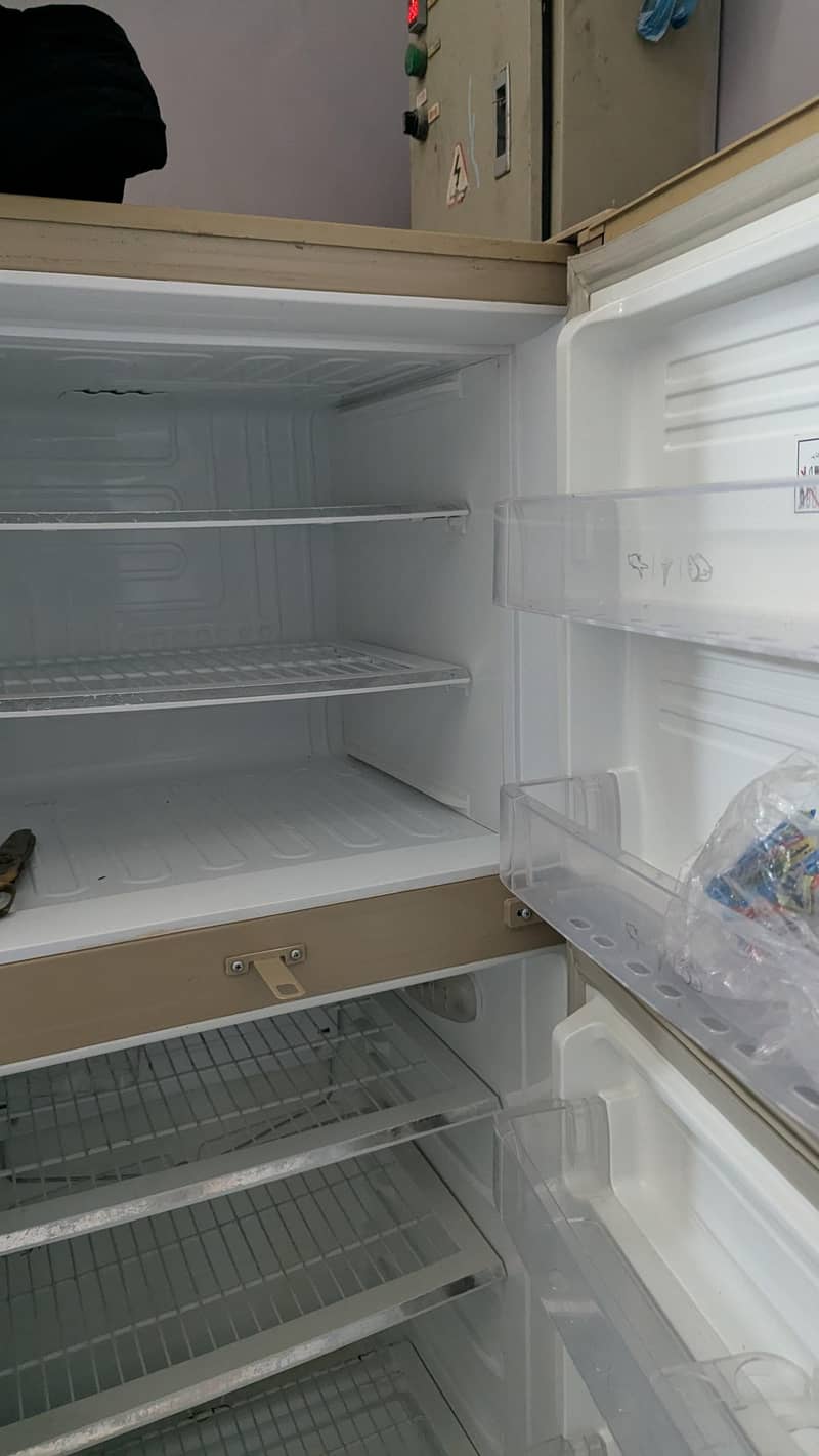 Pel Medium refrigerator 3