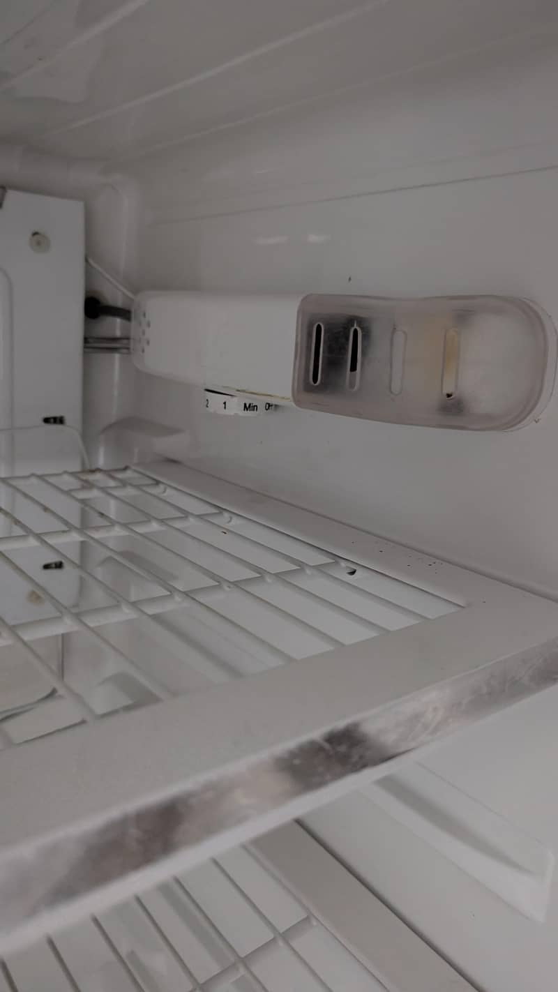 Pel Medium refrigerator 4