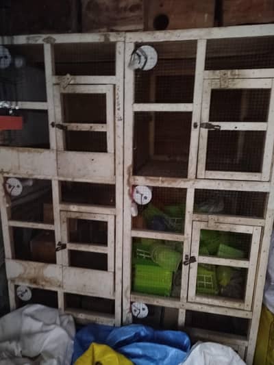 2/2.5 wood cage 3 portion