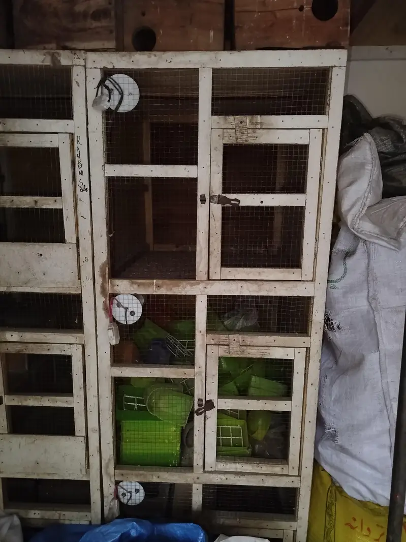 2/2.5 wood cage 3 portion — photo 2