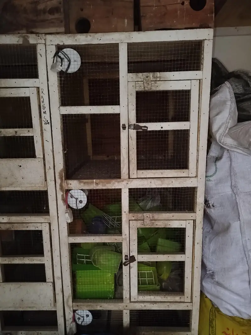 2/2.5 wood cage 3 portion — photo 3