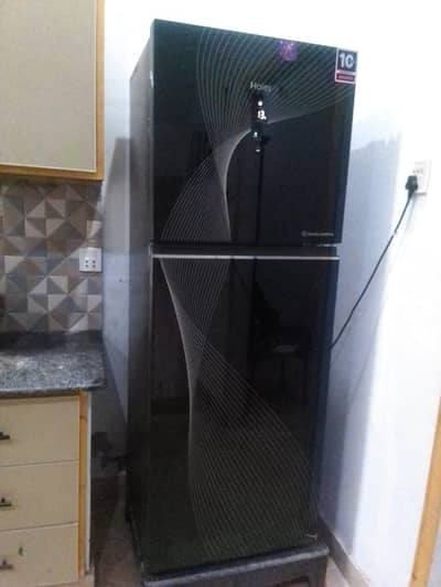 medium size freezer
