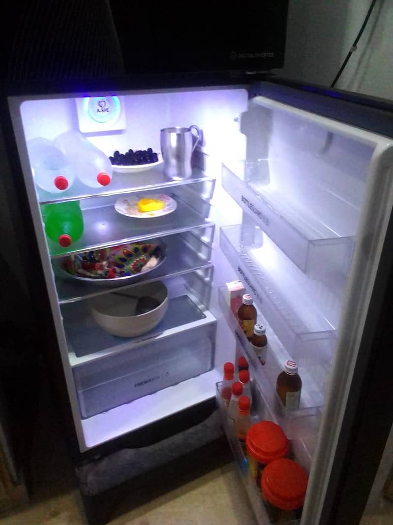 medium size freezer 1