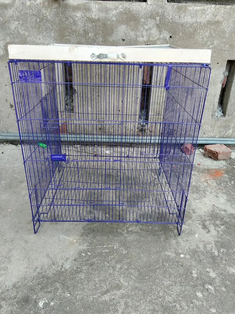 Brand New Cage 2×2 — photo 3