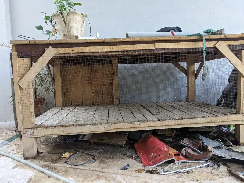 cage dog — photo 2