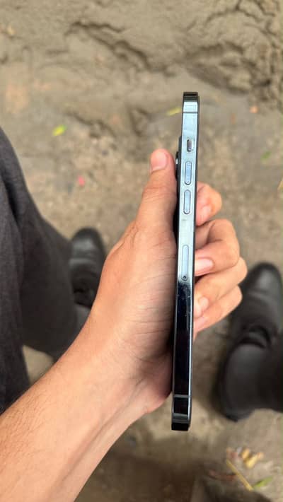 12 pro max Factory unlock