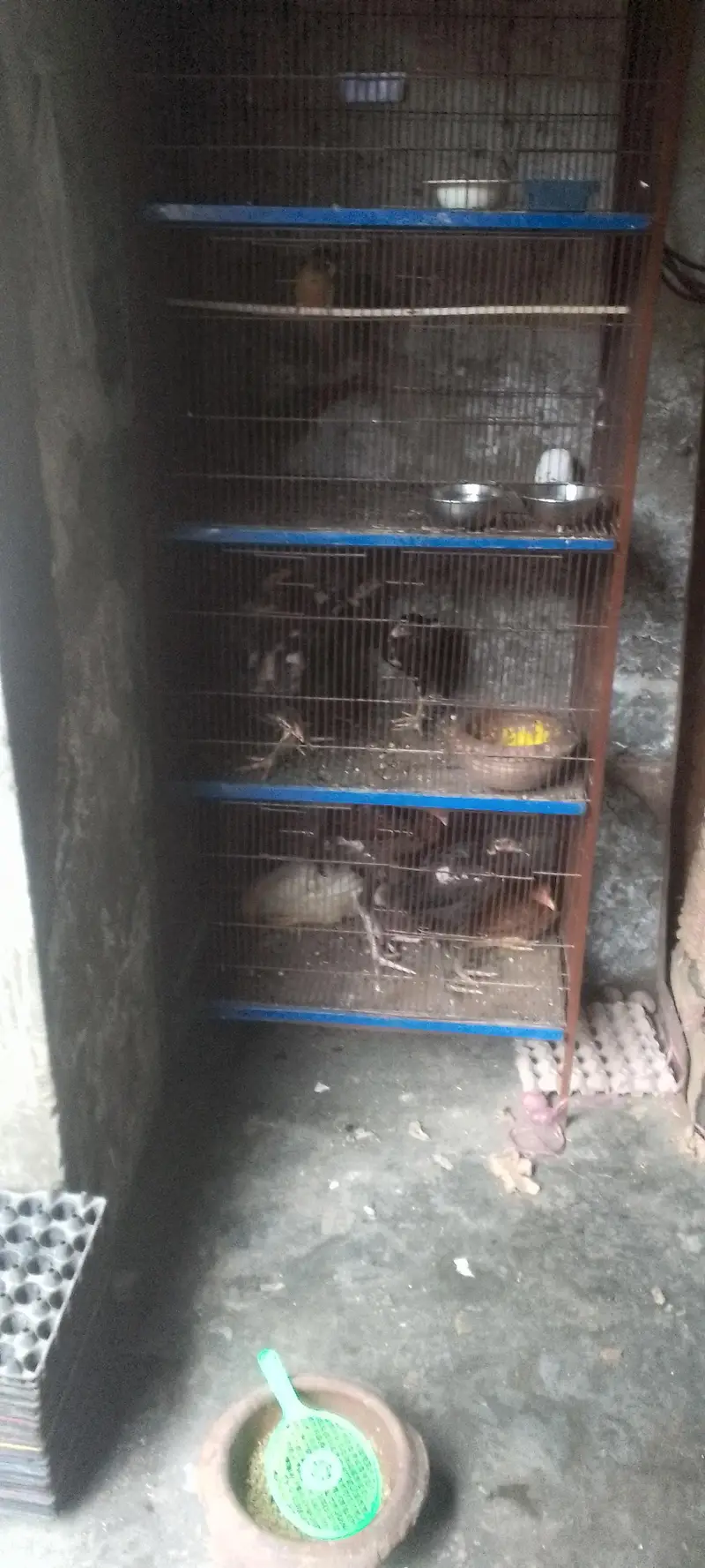 4 portion new condition moti wire or bhut mazbot ha bhut hi munasib ha — photo 4