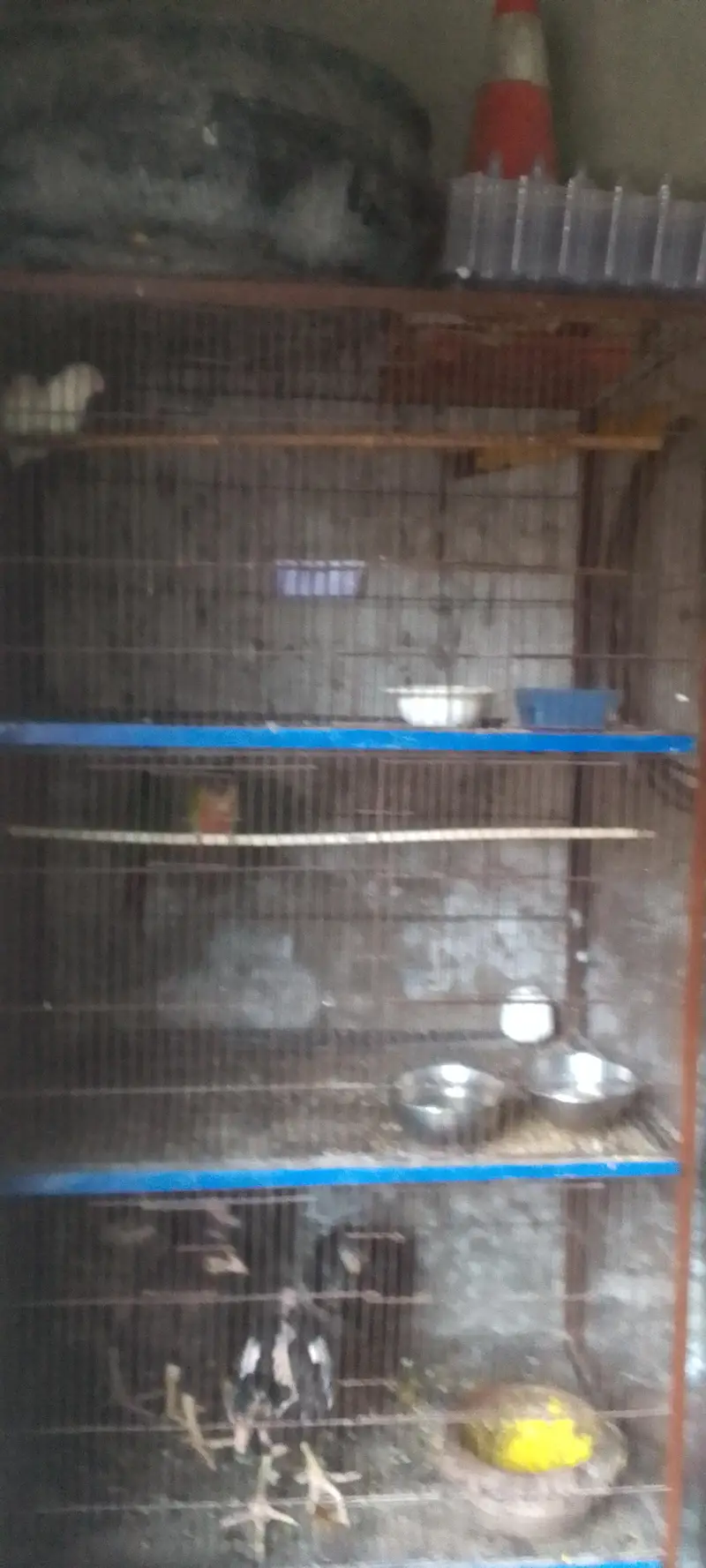 4 portion new condition moti wire or bhut mazbot ha bhut hi munasib ha — photo 5