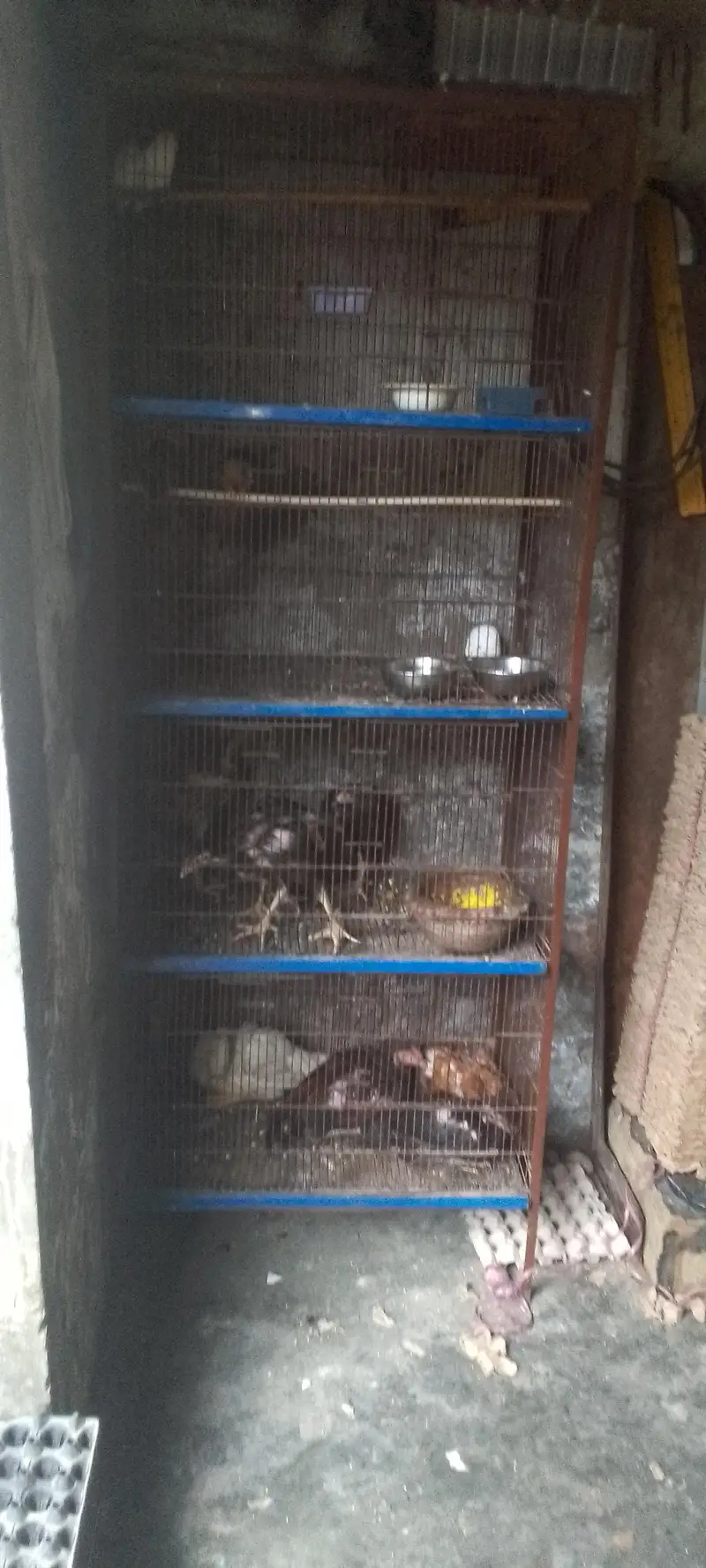 4 portion new condition moti wire or bhut mazbot ha bhut hi munasib ha — photo 7