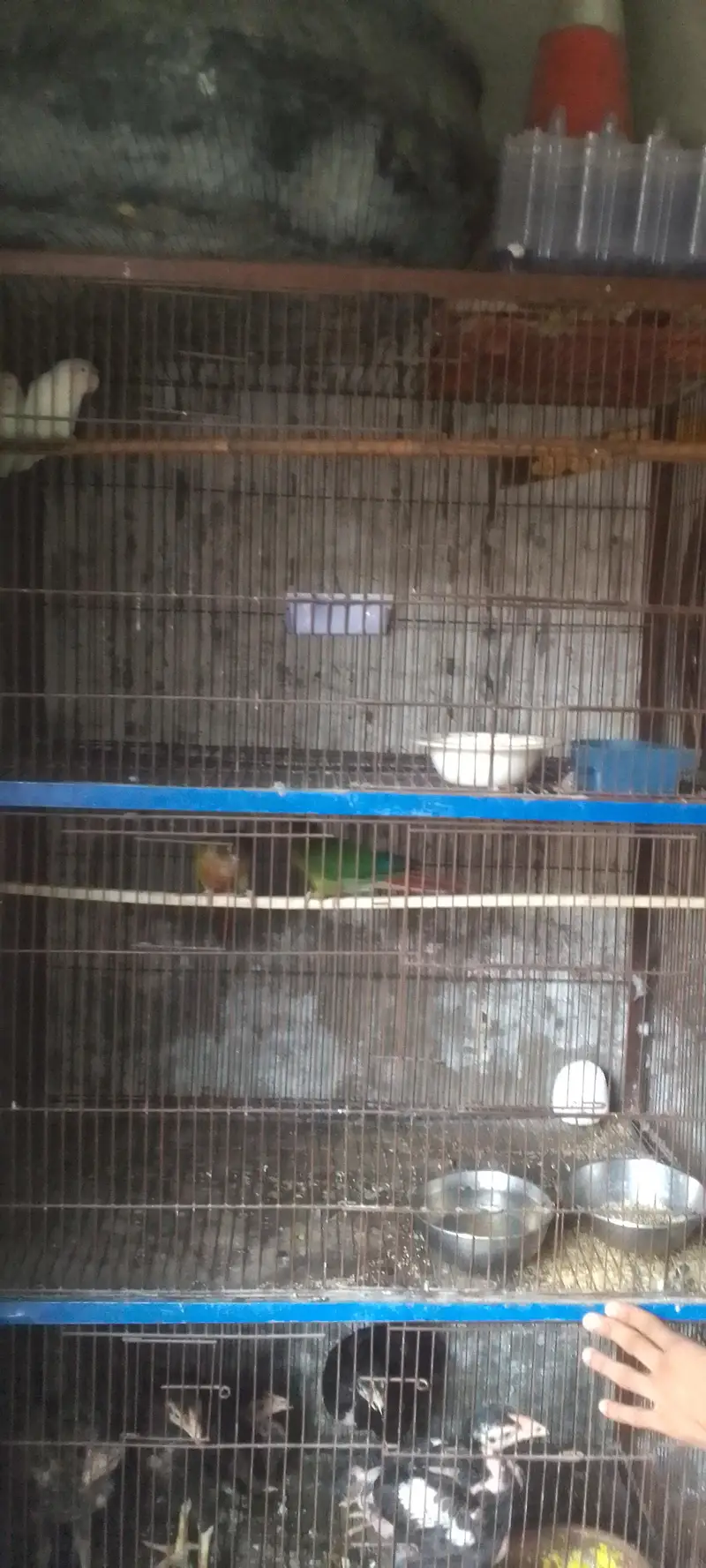 4 portion new condition moti wire or bhut mazbot ha bhut hi munasib ha — photo 8