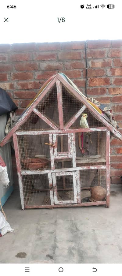 perrot