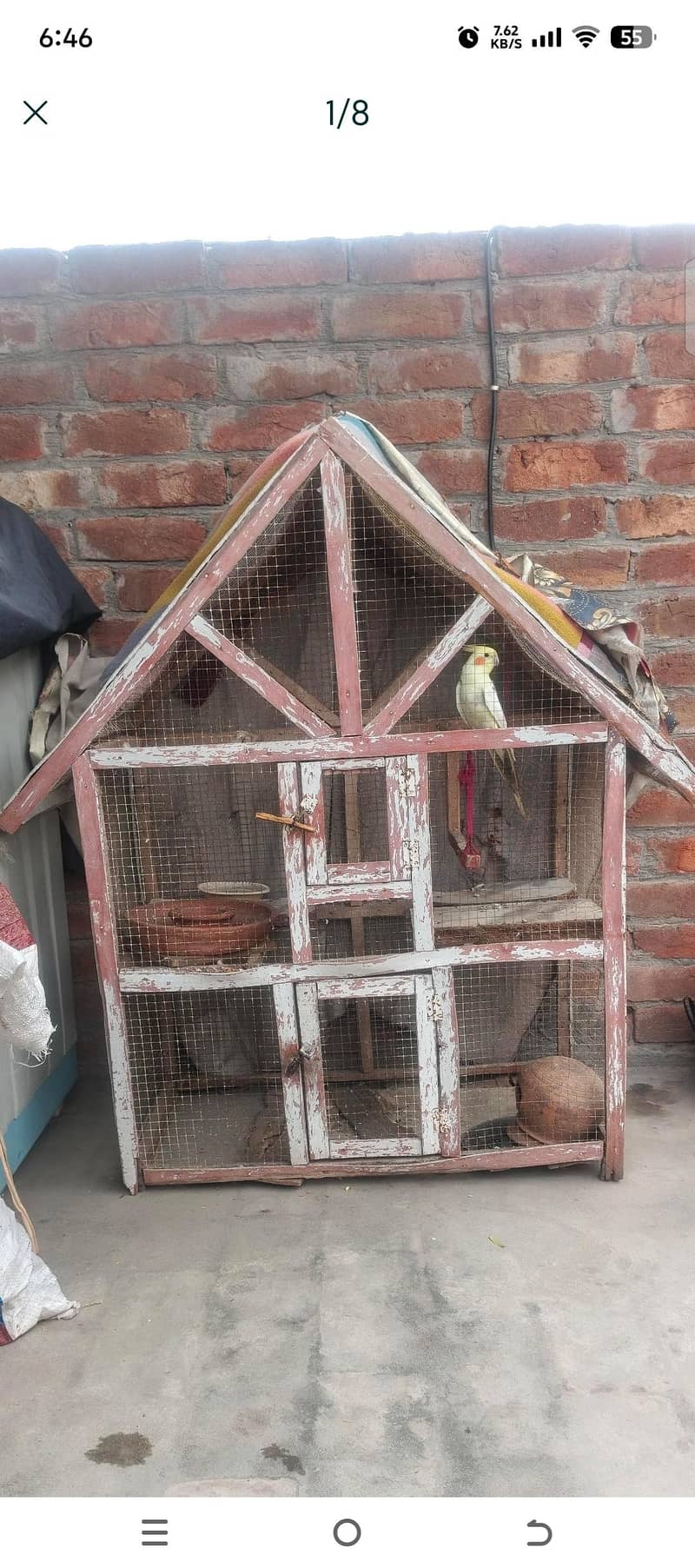 perrot 0