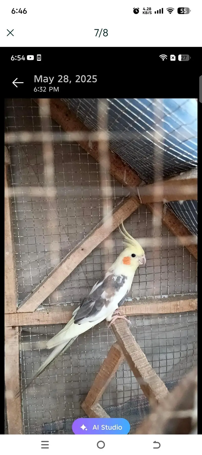 perrot — photo 5