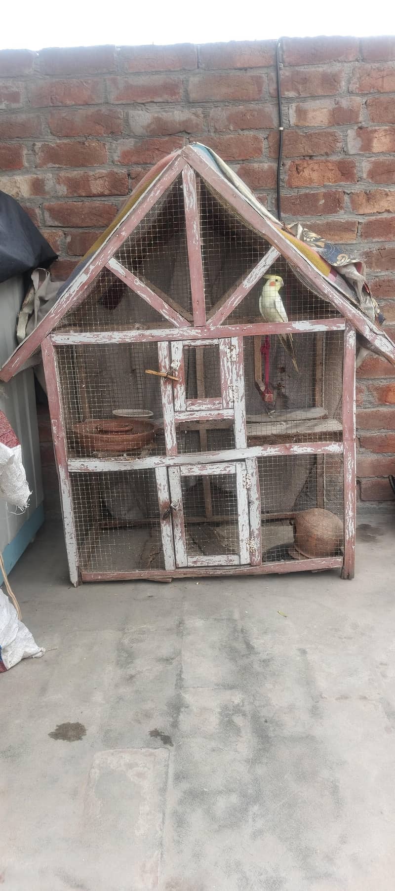 perrot 6