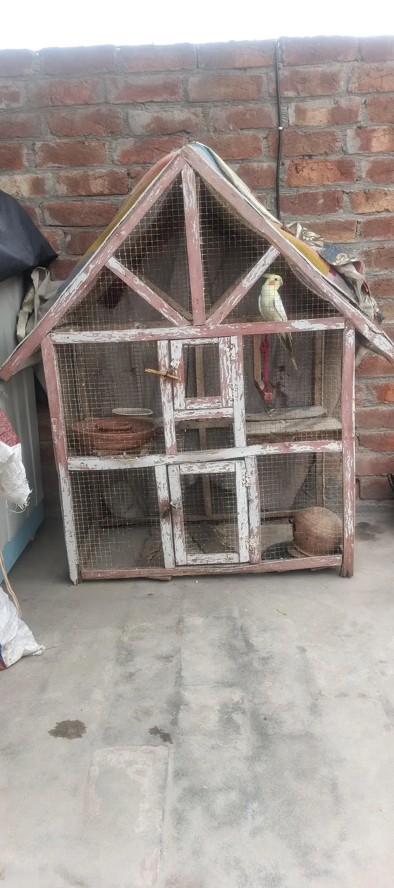 perrot — photo 7
