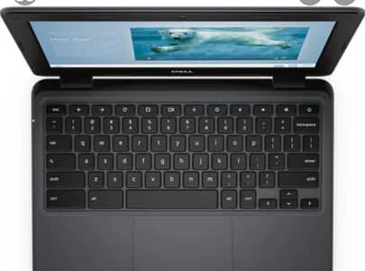 chromebook 3100