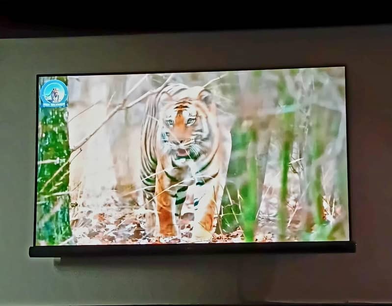 tcl55" c6 Harman kardon 3