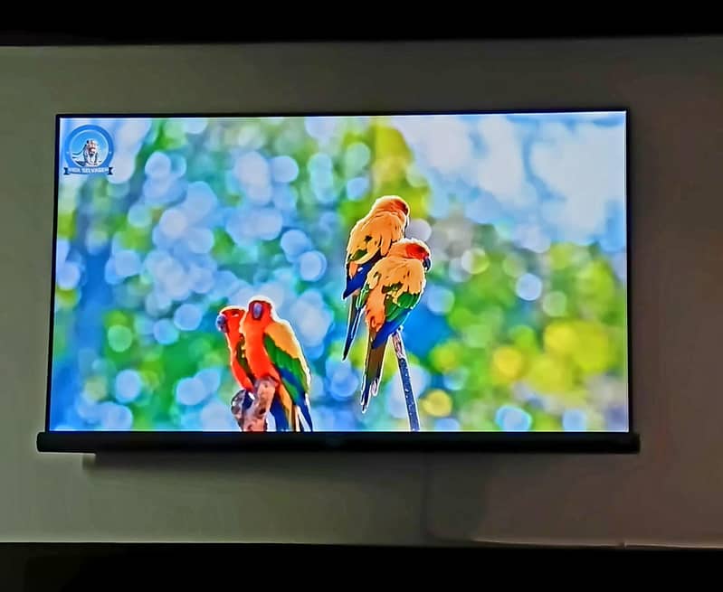 tcl55" c6 Harman kardon 4