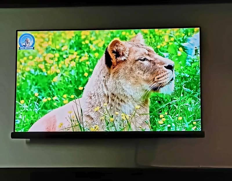 tcl55" c6 Harman kardon 5