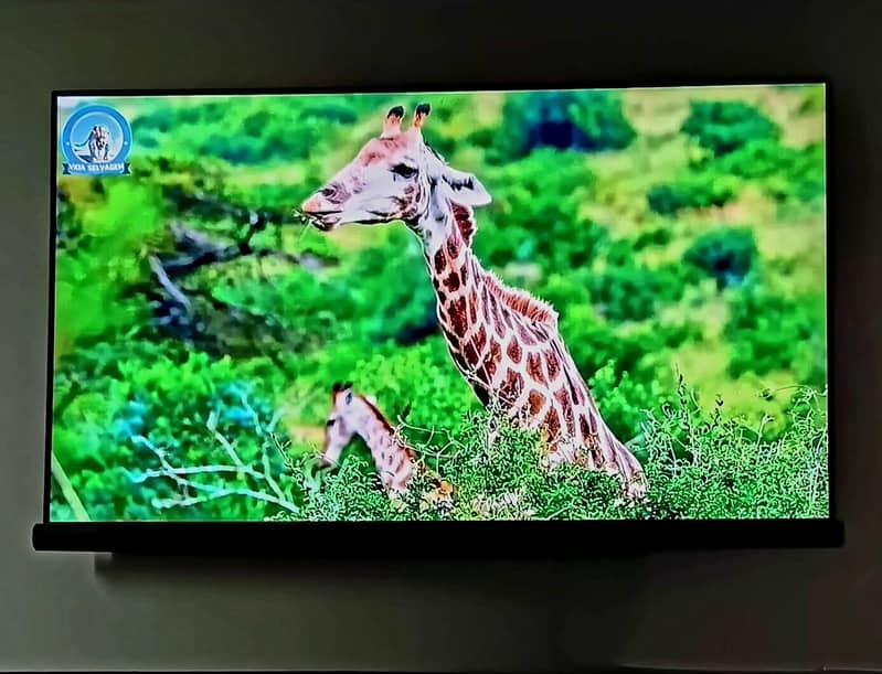 tcl55" c6 Harman kardon 6