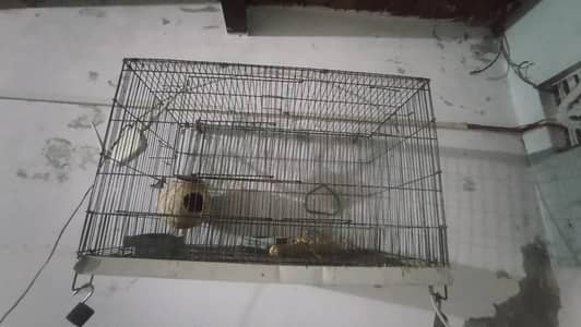for sale