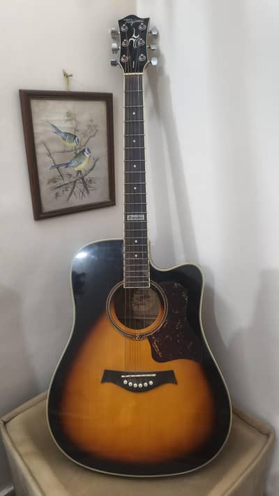 PROFESSIONAL TAGIMA SEMI ACOUSTIC GUITAR
