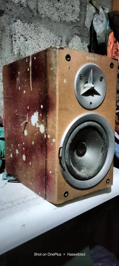 room theater speaker  pair