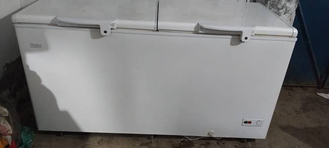 Haier D Freezer