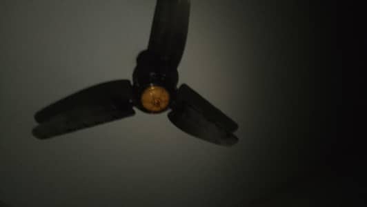 fan for sale