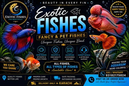 All types of fishes available like molly, guppy, gold fish, betta