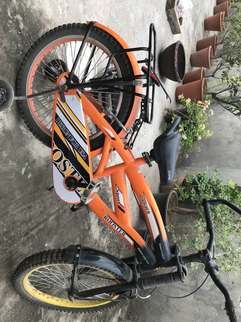 Cycles 3