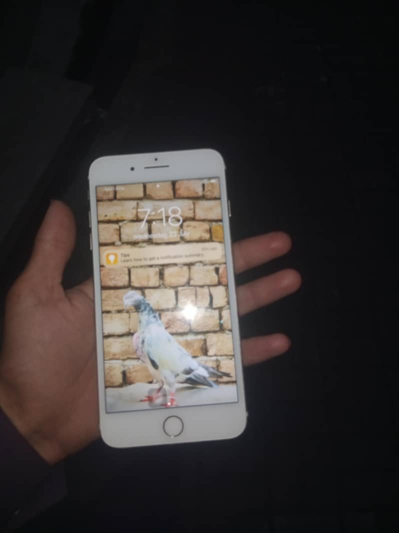 Apple iPhone 7 Plus 0