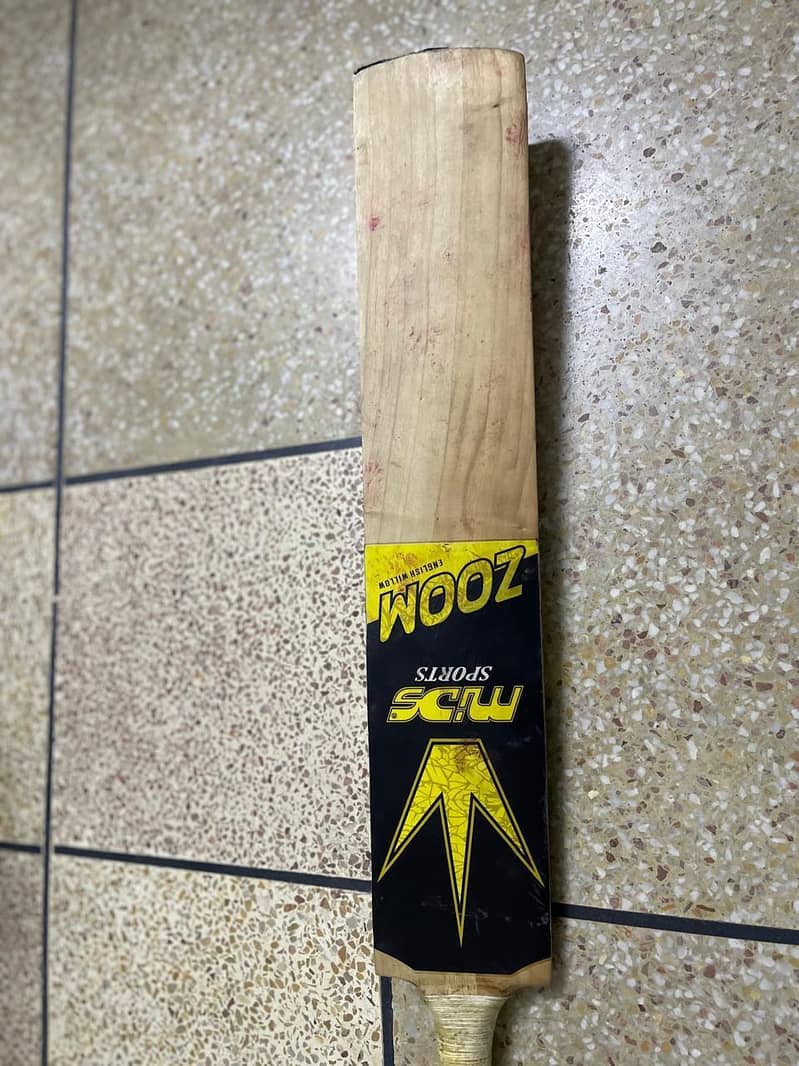Cricket Kit 1