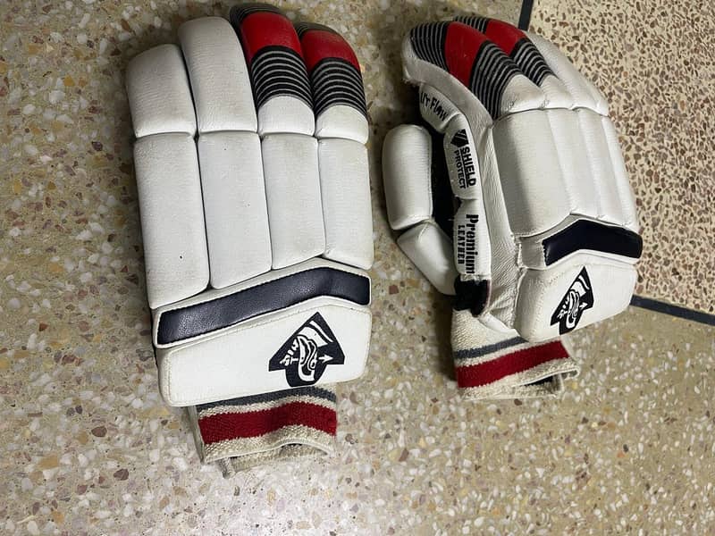 Cricket Kit 5