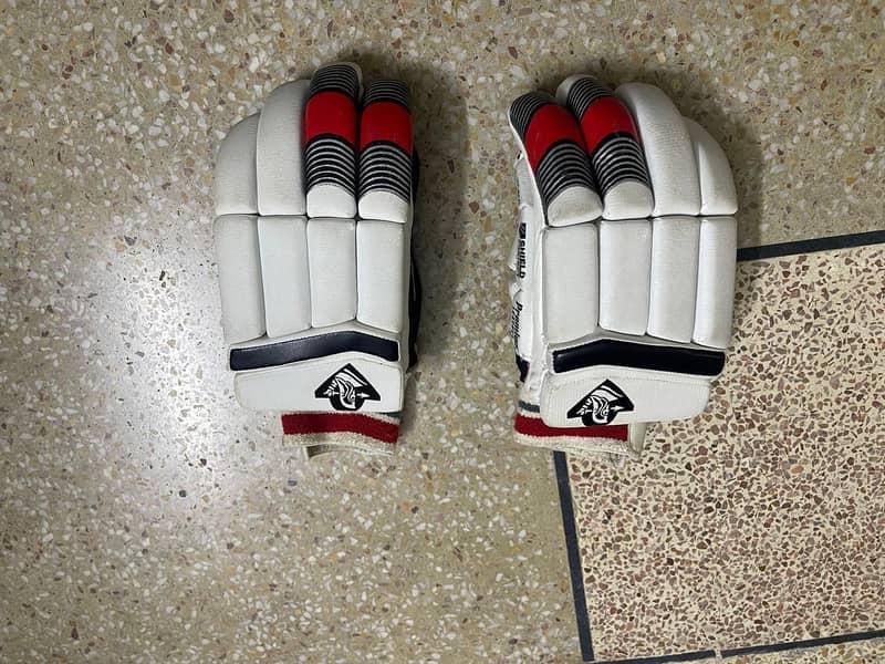 Cricket Kit 6