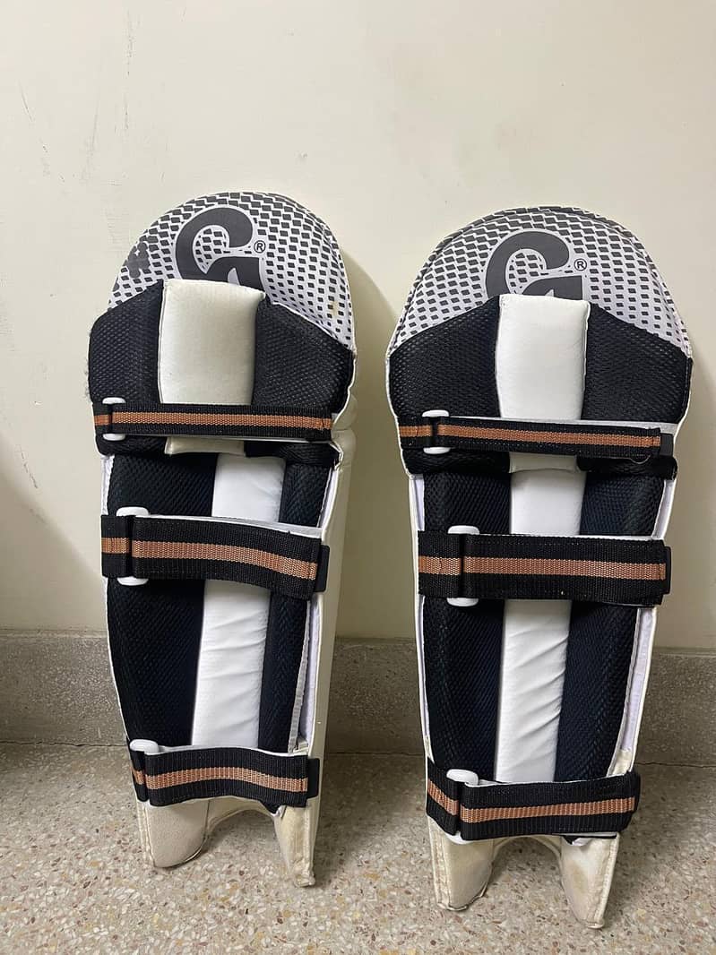 Cricket Kit 10