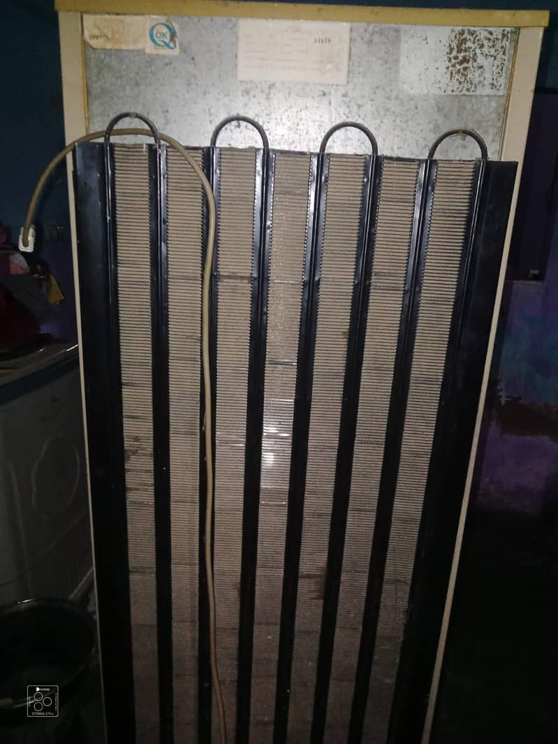 Pel Medium 6