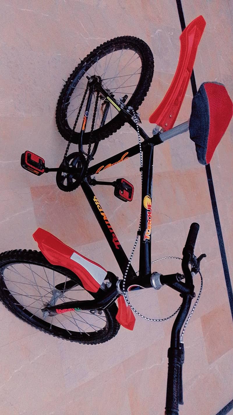 Bicycle 2