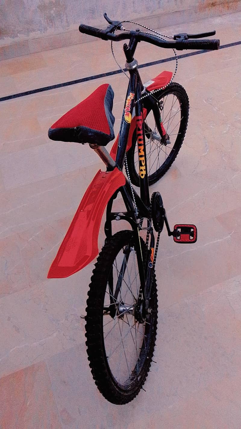 Bicycle 3