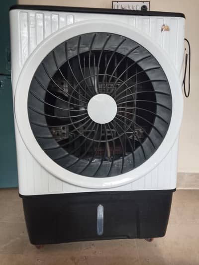 1 Year use condition 10 by 10