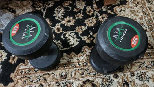 dumbells 5KG pair
