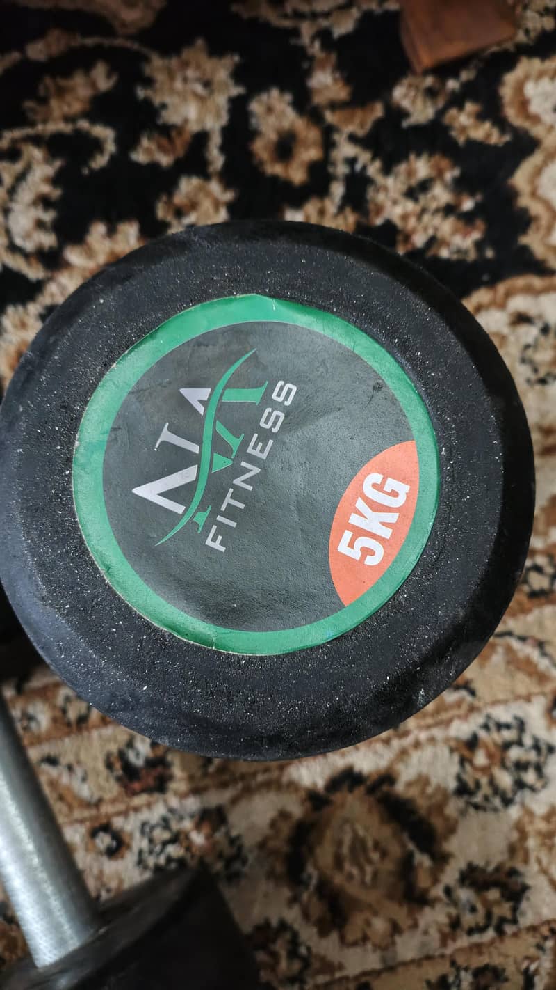 dumbells 5KG pair 2