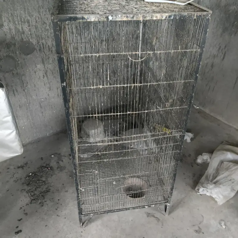 cages for sale    03495536584 — photo 5