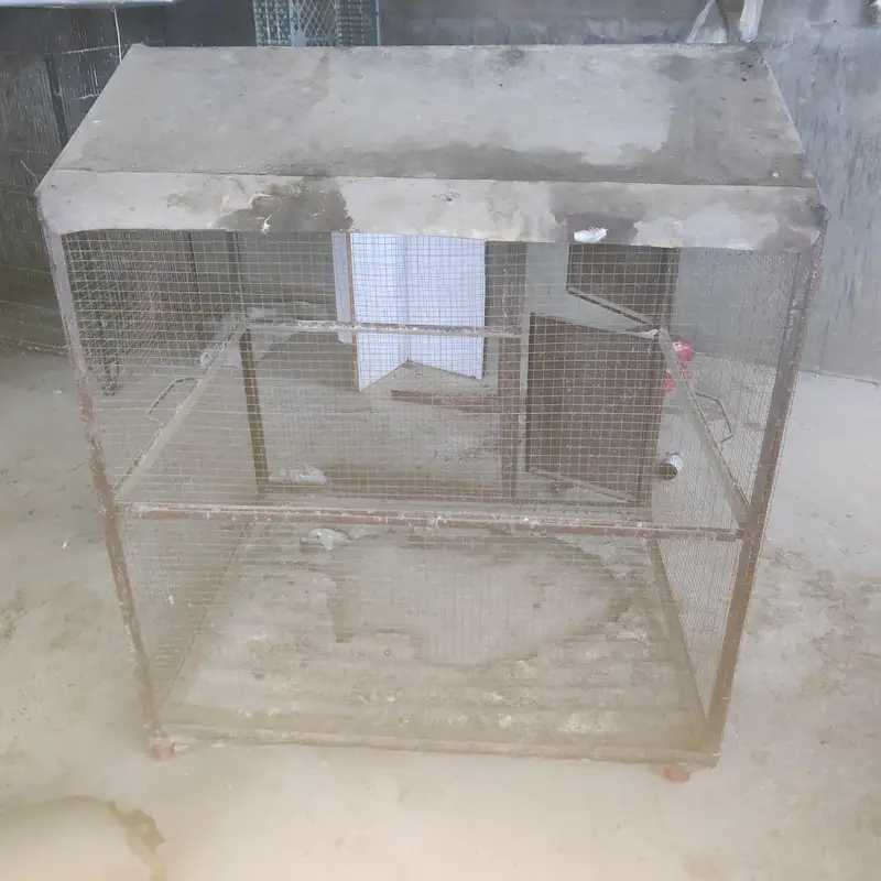 cages for sale    03495536584 — photo 6