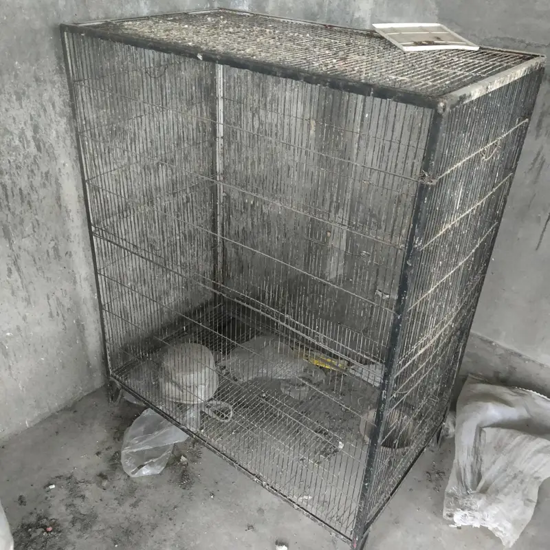 cages for sale    03495536584 — photo 7