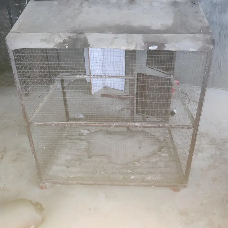cages for sale    03495536584 — photo 8