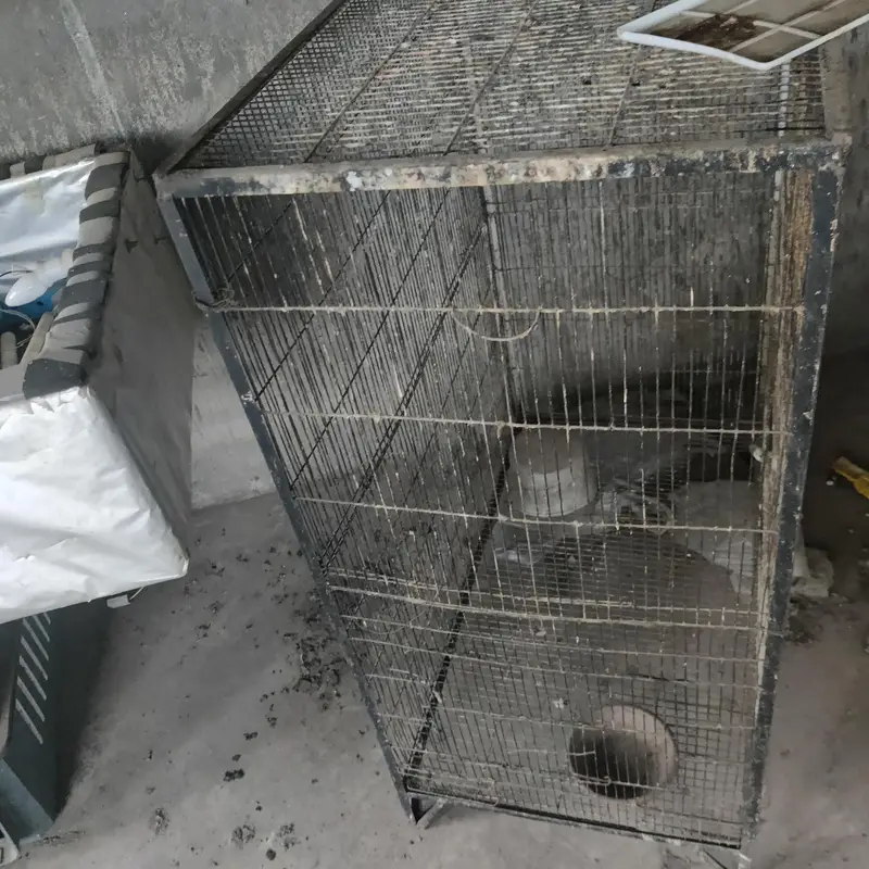 cages for sale    03495536584 — photo 10