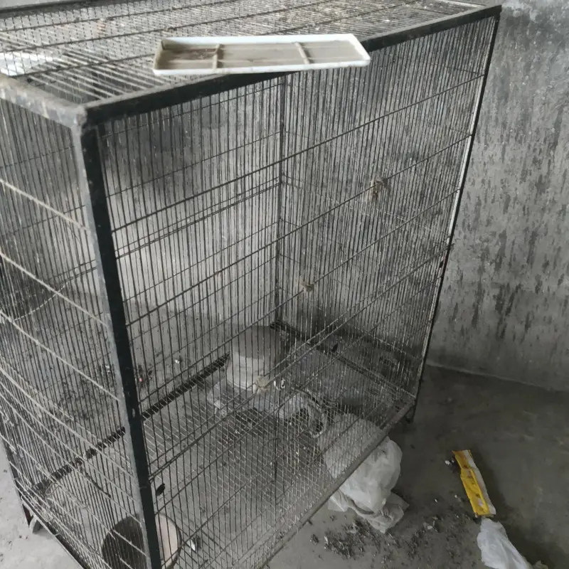 cages for sale    03495536584 — photo 12
