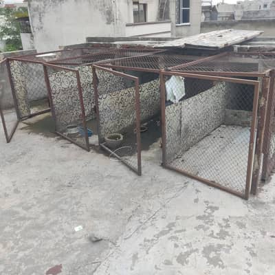 cages for sale    03495536584